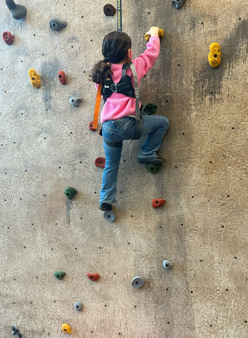 Girl climbing rock wall