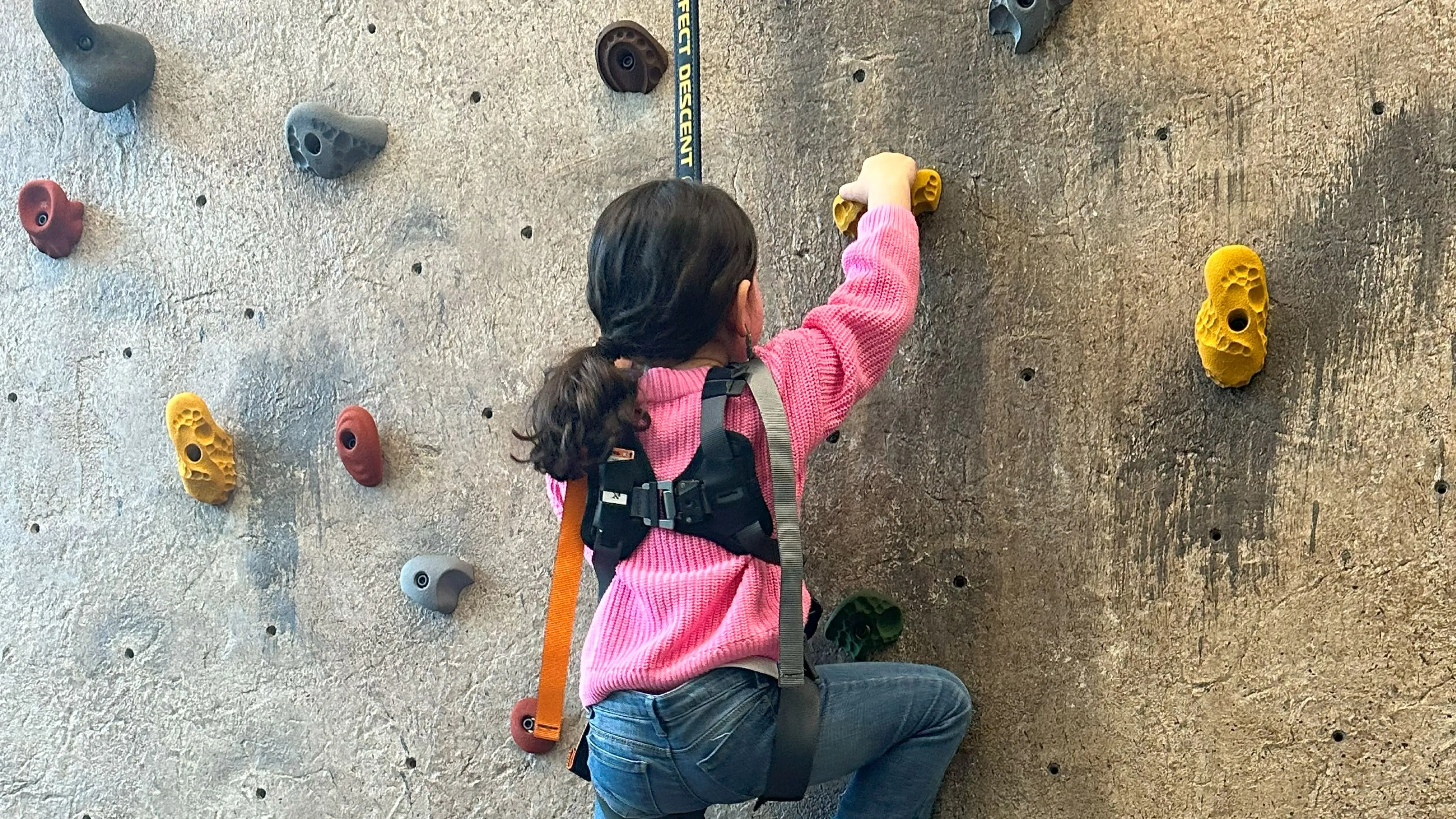 Girl climbing rock wall